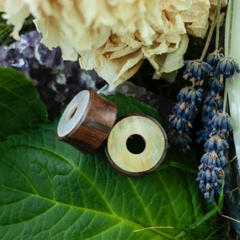 Seashell and Wood Tunnel Plug